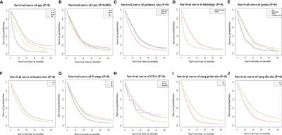 Distant Metastasis Pattern and Prognostic Prediction Model of Colorectal Cancer Patients Based on Big Data Mining